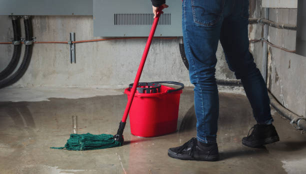 Best Basement water damage restoration  in New York Mills, NY