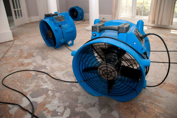 Best Water damage contractors near me  in New York Mills, NY